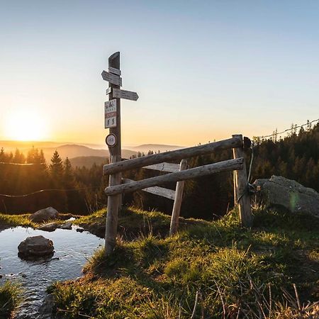 Waldhotel Fehrenbach Hinterzarten Exteriör bild