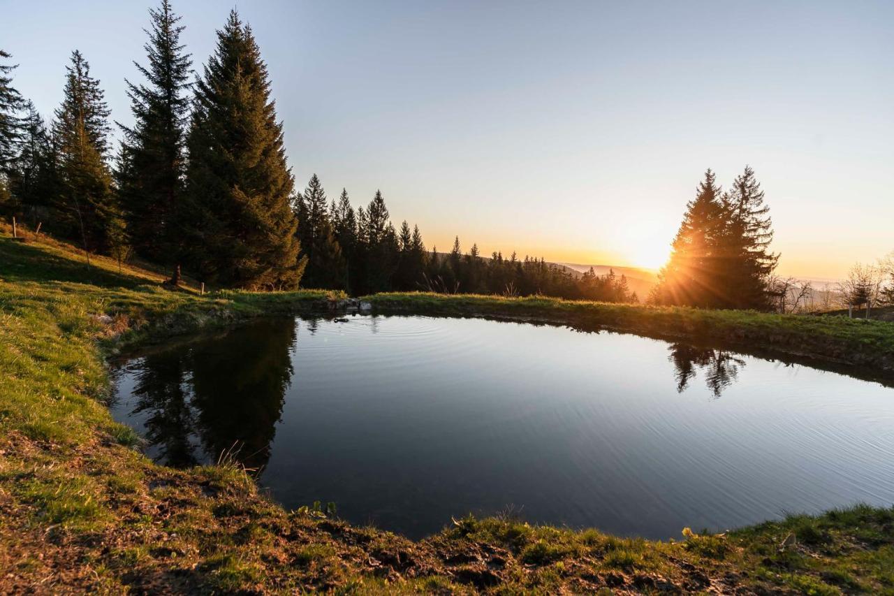 Waldhotel Fehrenbach Hinterzarten Exteriör bild