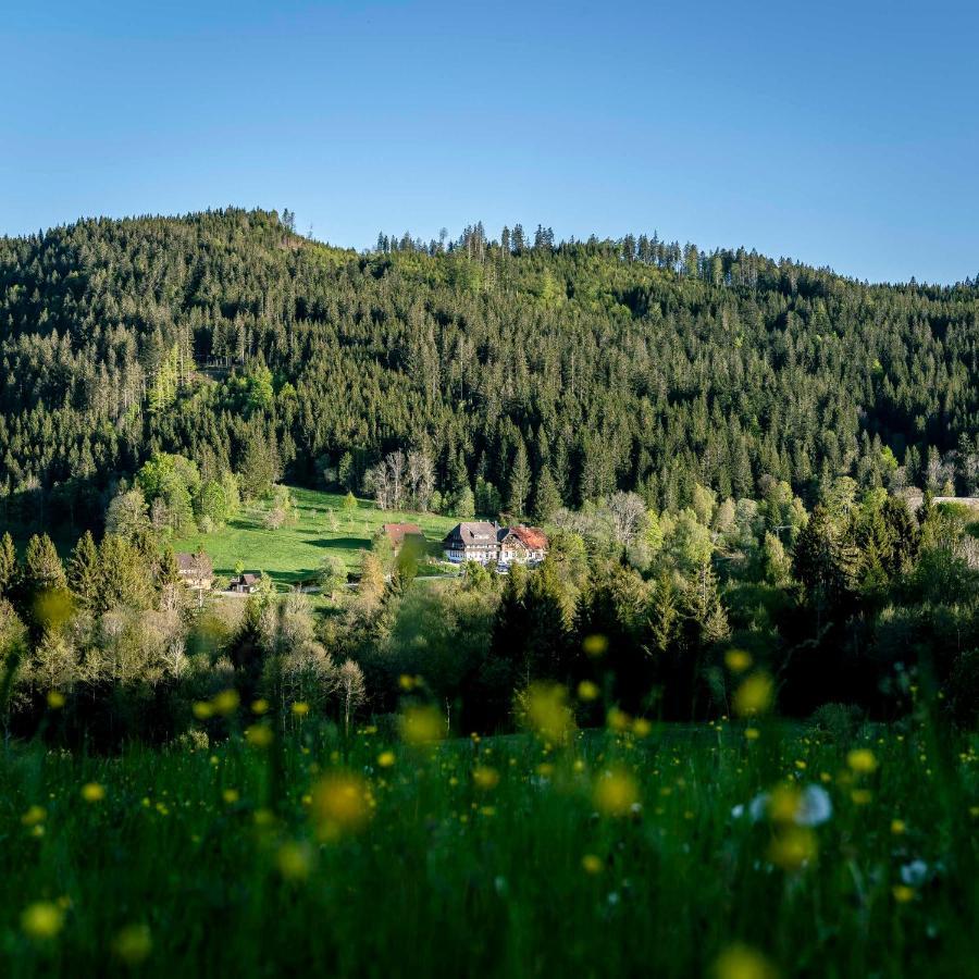 Waldhotel Fehrenbach Hinterzarten Exteriör bild